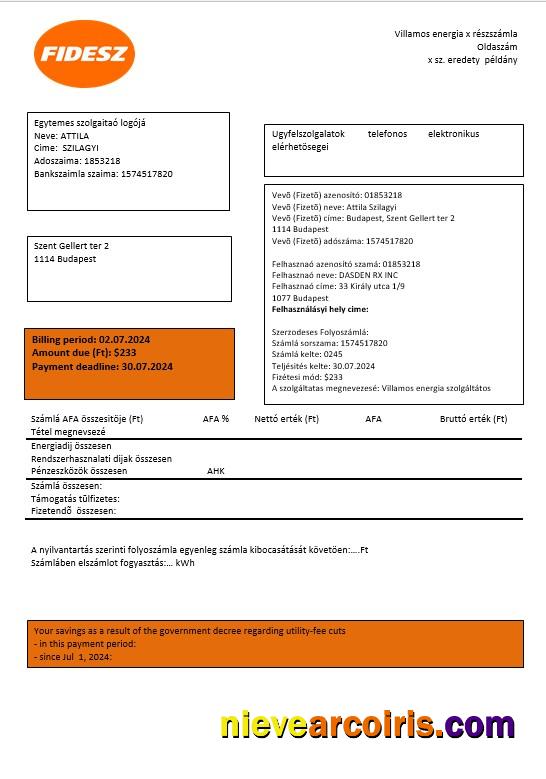 Hungary FIDESZ easy to fill business utility bill